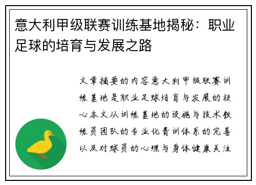 意大利甲级联赛训练基地揭秘：职业足球的培育与发展之路
