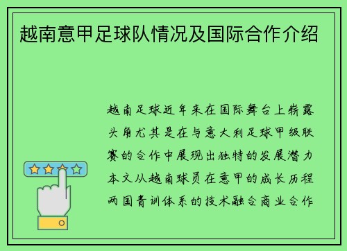 越南意甲足球队情况及国际合作介绍